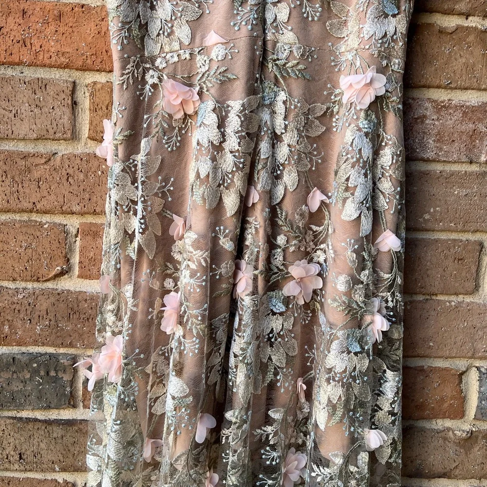 Dress the Population Blush Floral Embroidered Tulle Long Dress - Picture 7 of 16